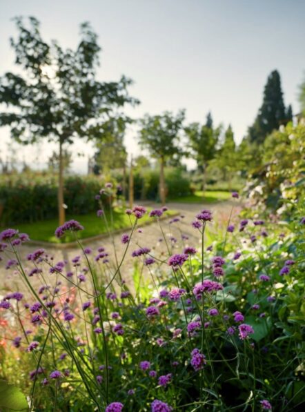 Borgo Petrognano_Gallery (2)-min